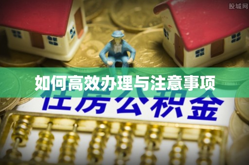 巴林右旗如何高效办理与注意事项
