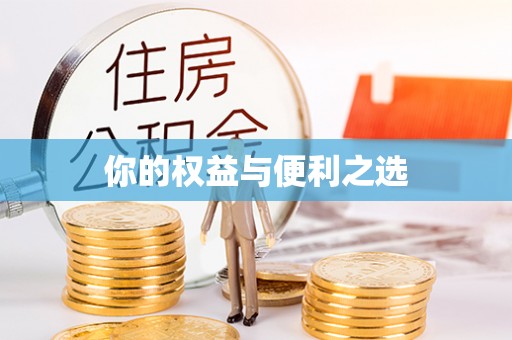 巴林右旗你的权益与便利之选