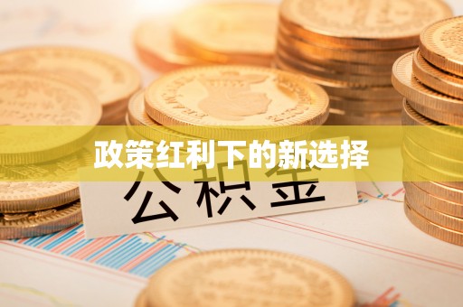 巴林右旗政策红利下的新选择