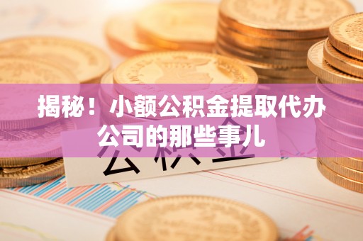 巴林右旗揭秘！小额公积金提取代办公司的那些事儿