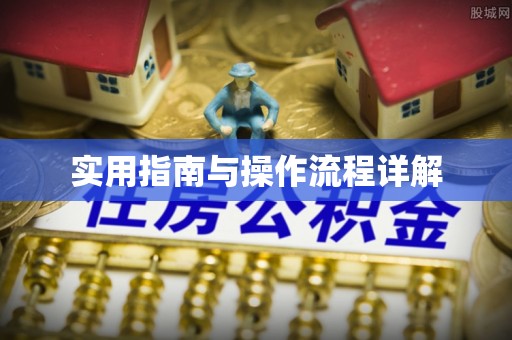巴林右旗实用指南与操作流程详解